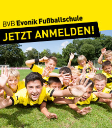 go to http://www.bvb.de/?%83%9E%5C%1B%E7%F4%9D
